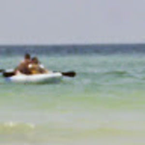 Meet your Posher, Shelly